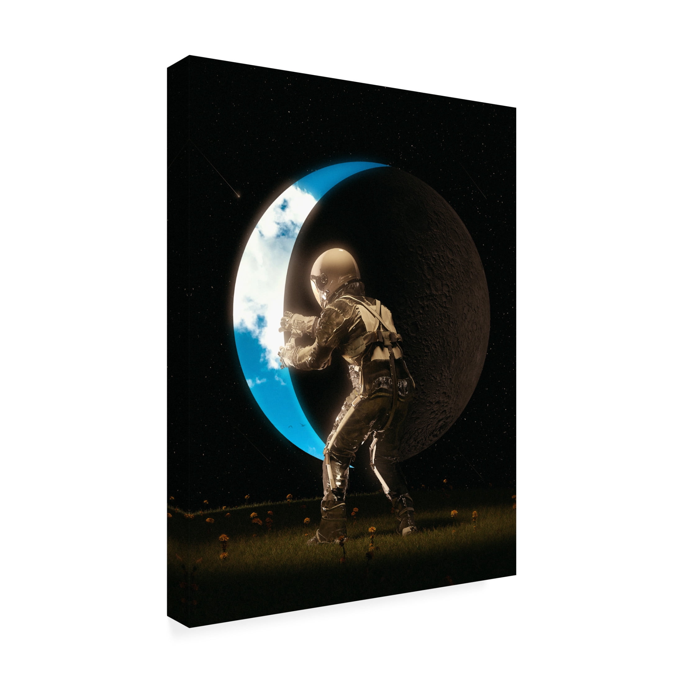 Canvas Wall Art - Francis Minoza 'Space Out' Wall Art for Living Room, Bedroom, or Office Décor by Trademark Fine Art - 14 x 19 Inches