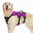 thumbnail image 1 of Arnés para perros Rabbitgoo Escape Proof de cuerpo entero en L, morado, 1 of 8