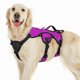 thumbnail image 1 of Arnés para perros Rabbitgoo Escape Proof de cuerpo entero en L, morado, 1 of 8