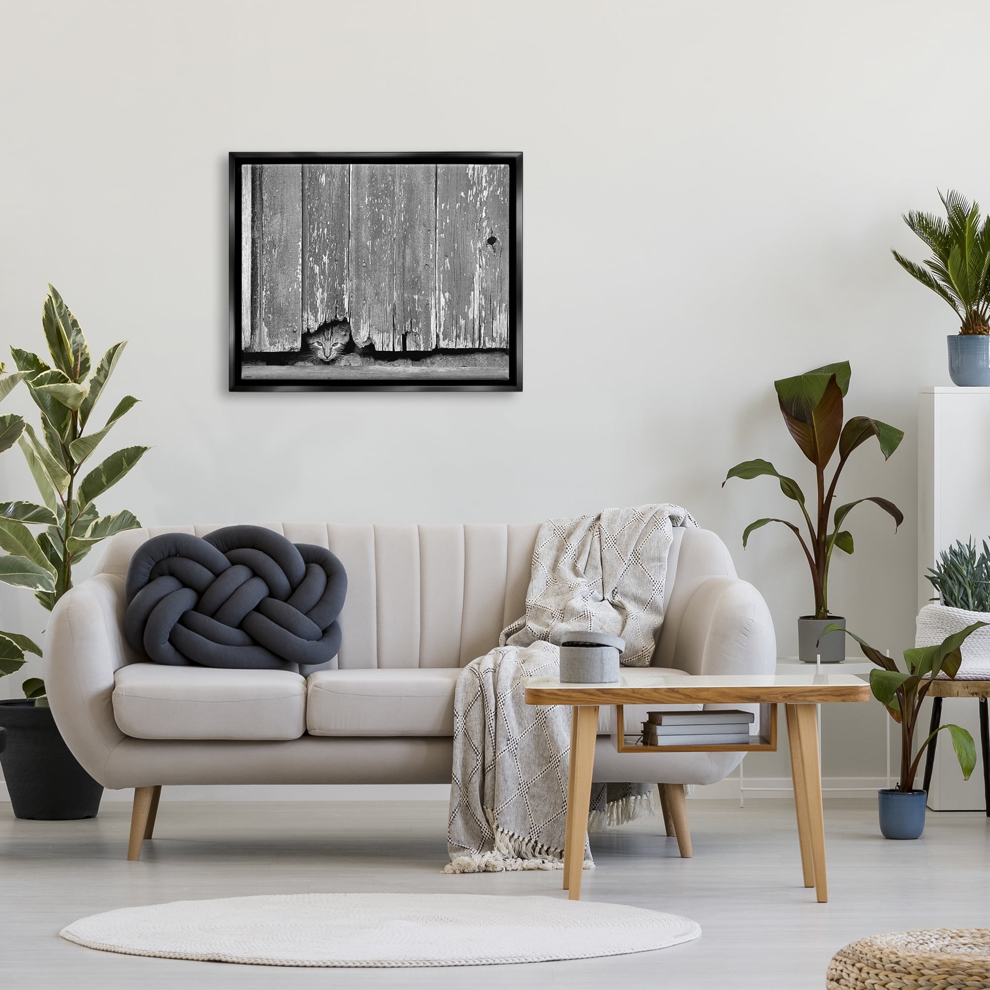 Stupell Industries Rustic Cat Peeking Animals & Insects Photography Black Floater Framed Canvas Art Print Wall Art, 31 x 25