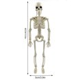 thumbnail image 2 of Figura de esqueleto modelo de Halloween favores de fiesta al aire libre realistas de 16/24 pulgadas, 2 of 9
