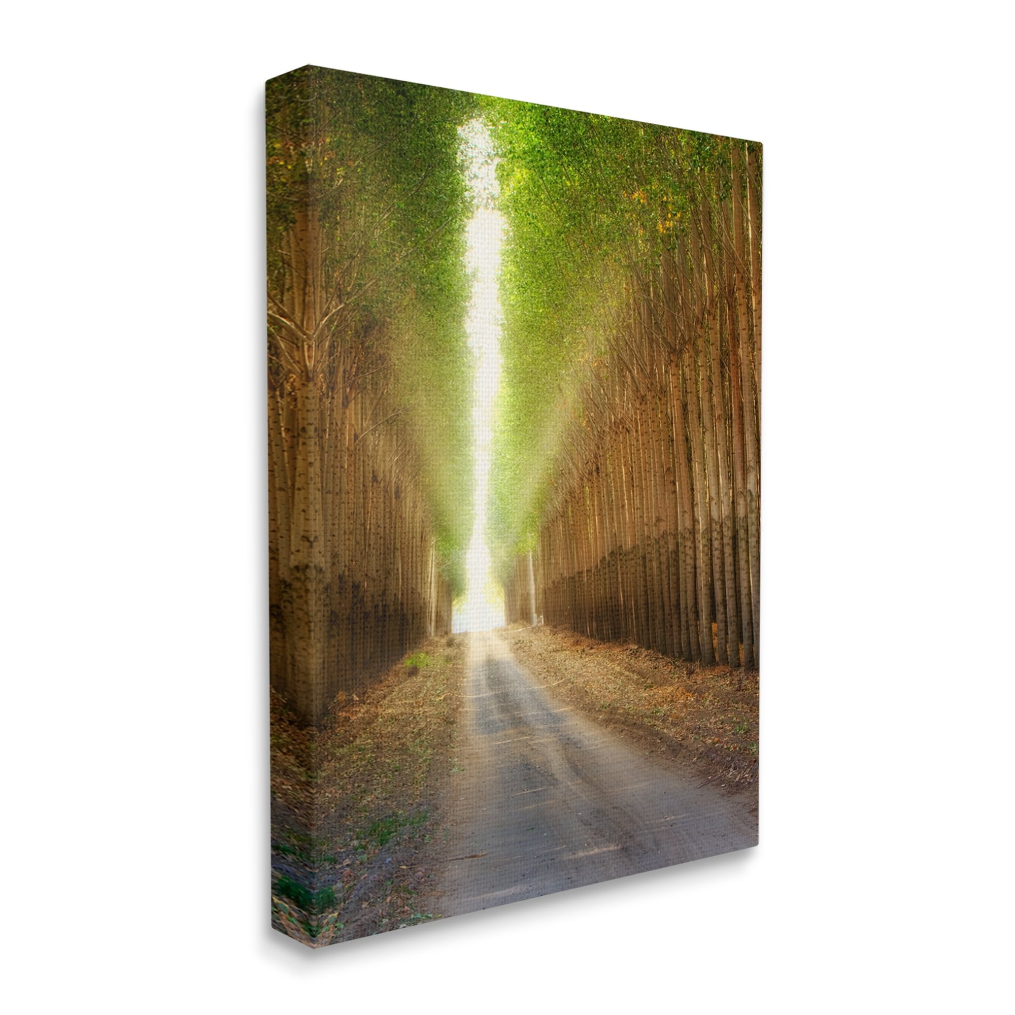 Stupell Industries Sunlit Tree Grove Pathway Landscape Photography Gallery Wrapped Canvas Print Wall Art