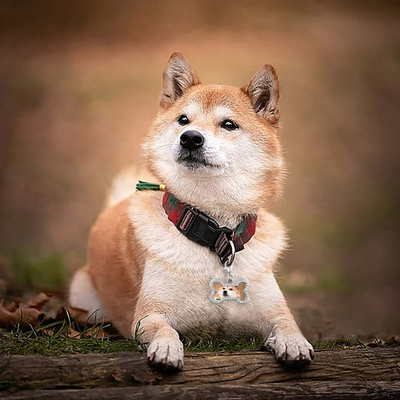 Riforla Medium Size Pet Circular Diamond Dog Tag Loss Information Tag DIY Handwritten Love Pendant Pet Others A 6x6x2cm
