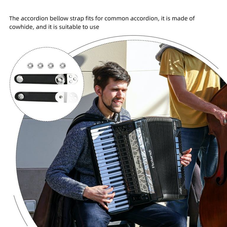 Universal accordion 2024