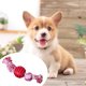 thumbnail image 2 of Juguete para limpiar dientes resistente a mordeduras de cuerda de algodón con bola de nudo doble para perros (rojo) Likrtyny Para estrenar, 2 of 8
