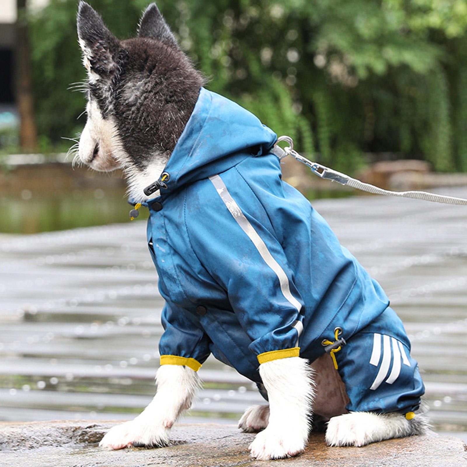 Dog raincoats best sale