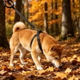 thumbnail image 1 of Outdor Double Handle Reflective Leash Heavy Duty Nylon Leash With Two Padded Handles Traffic Control For Medium To Large Dogs Ideal For Training And Night Walks, 1 of 5