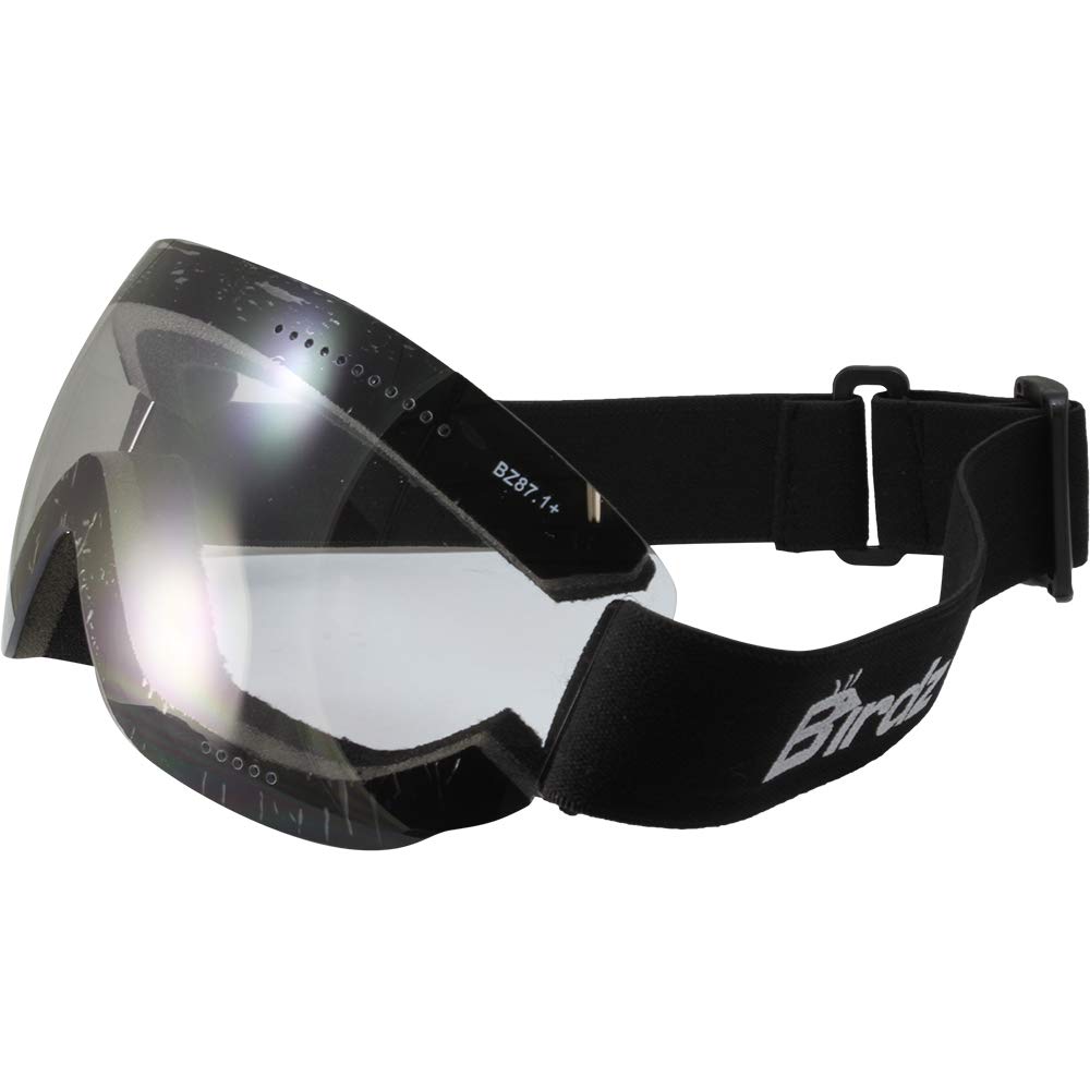 Birdz Thrush Sport Skydiving Snowboarding Motorcycle Riding Goggles