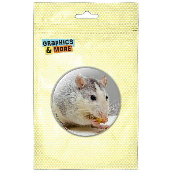 Rat Eating Pinback Button Pin Badge