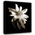 thumbnail image 1 of John Rehner 15x18 Gallery Wrapped Canvas Wall Art Titled - Portrait in White II, 1 of 4