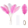 thumbnail image 1 of Kit Holmgren de plumas de avestruz, 22 pulgadas, color rosa y blanco, 20 unidades, 1 of 6