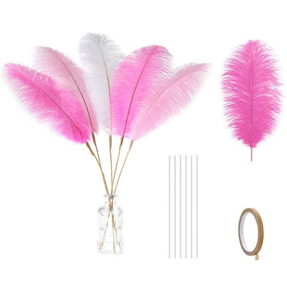 Kit Holmgren de plumas de avestruz, 22 pulgadas, color rosa y blanco, 20 unidades