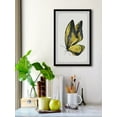 thumbnail image 3 of "Black and Yellow Mariposa" Framed Painting Print, 3 of 6