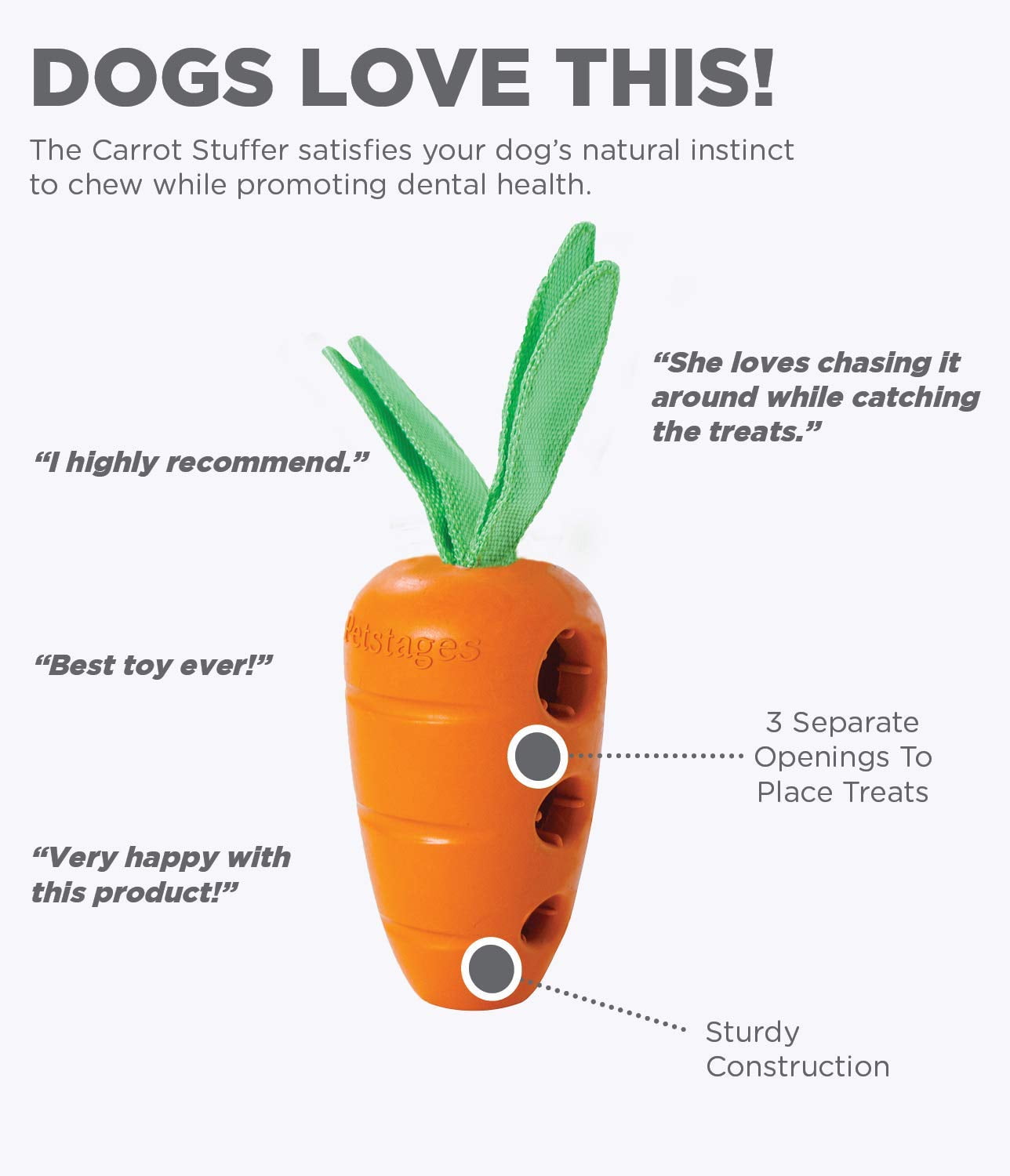 Can Carrots Cause Gas In Dogs