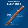 thumbnail image 4 of Barkworthies Odor-Free 12-inch Bully Sticks (3 Pack) - Healthy Dog Chews - Protein-Packed, Easily digestible, All-Natural Rawhide Alternative Dog Treats - Promotes Dental Health, 4 of 10