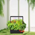thumbnail image 4 of Diseño Fácil De Utilizar Del Ahorro De Espacio Del Cultivo Interior De La Máquina Hidropónica De La Planta Del LED, 4 of 7