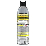 Raid MAX Foaming Wasp and Hornet Killer, Fast Coverage Outdoor Foaming Spray, 16.5 oz