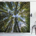 thumbnail image 1 of Ambesonne Nature Shower Curtain, Jungle Moss Forest Trees, 69"Wx84"L, Forest Green Sky Blue, 1 of 3