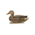 thumbnail image 5 of AVIAN-X Topflight Fusion Mallards Durable Ultra Realistic Floating Hunting Duck Decoys, Pack of 6, AVX8076, 5 of 16