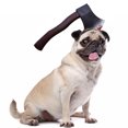 thumbnail image 1 of Perros, gatos, tocados, embaucadores, atrezzo, mascotas, tocados de halloween, sombreros divertidos1821, 1 of 5