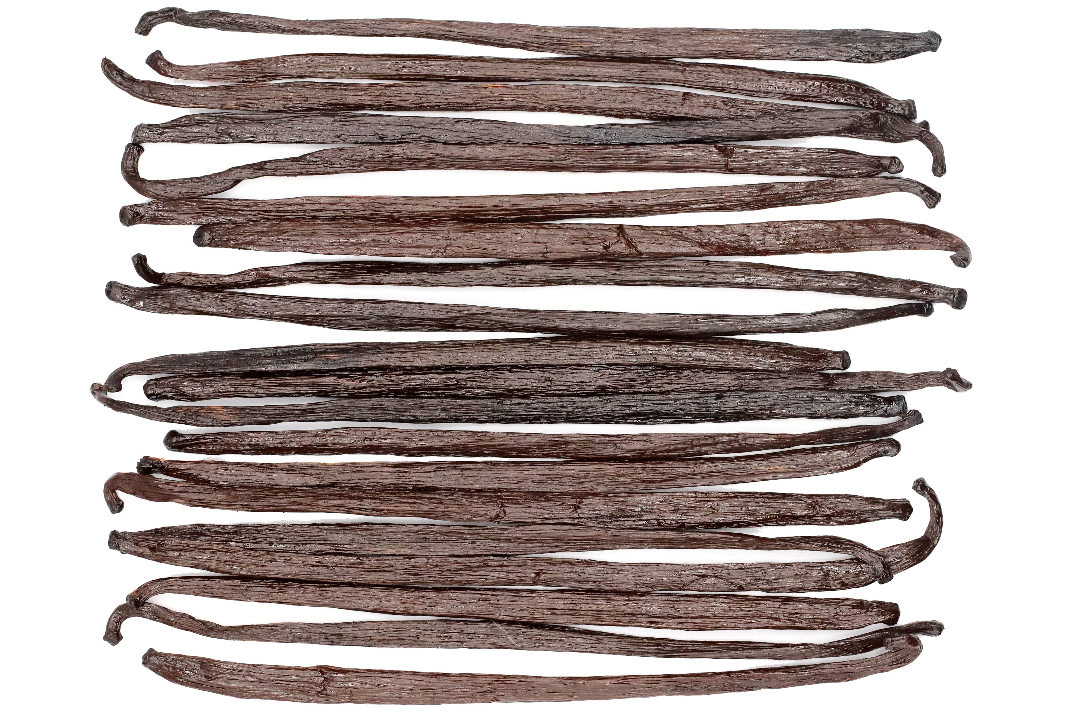 20 Extract Grade Mexican Vanilla Beans - Voladores Vanilla