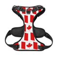 thumbnail image 5 of Gaeub Canada Gaeub Canada No Pull Dog Harness, Secure and Adjustable Pet Vest for Outdoor Activities - Medium, 5 of 8