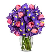 From You Flowers - Pink Tulip and Iris Bouquet with Glass Vase (Fresh Flowers) Birthday, Anniversary, Get Well, Sympathy, Congratulations, Thank You