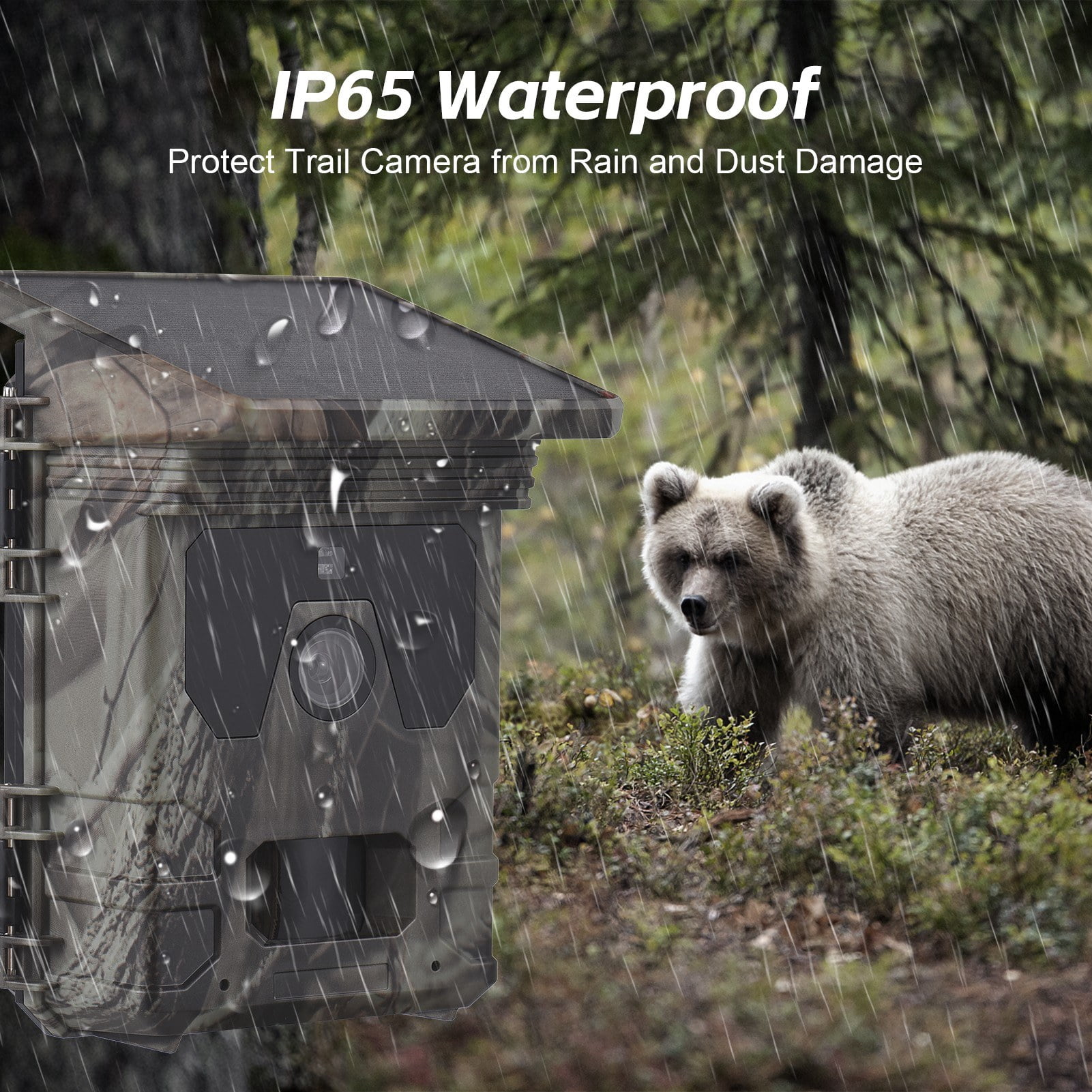 Solar Powered 50MP 4K Night Vision Trail Camera with 32GB Card