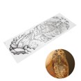 thumbnail image 4 of Etiqueta Adhesiva Del Los Hombres Brazo Completo Pegatina Temporal Impermeable Fiesta Pegatina Decoración Para Hombres Mujeres TQB-066 OTVIAP TQB-066, 4 of 8