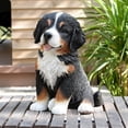thumbnail image 5 of Hi-Line Gifts Sitting Bernese Mountain Puppy Outdoor Garden Statue - 12.5", 5 of 5