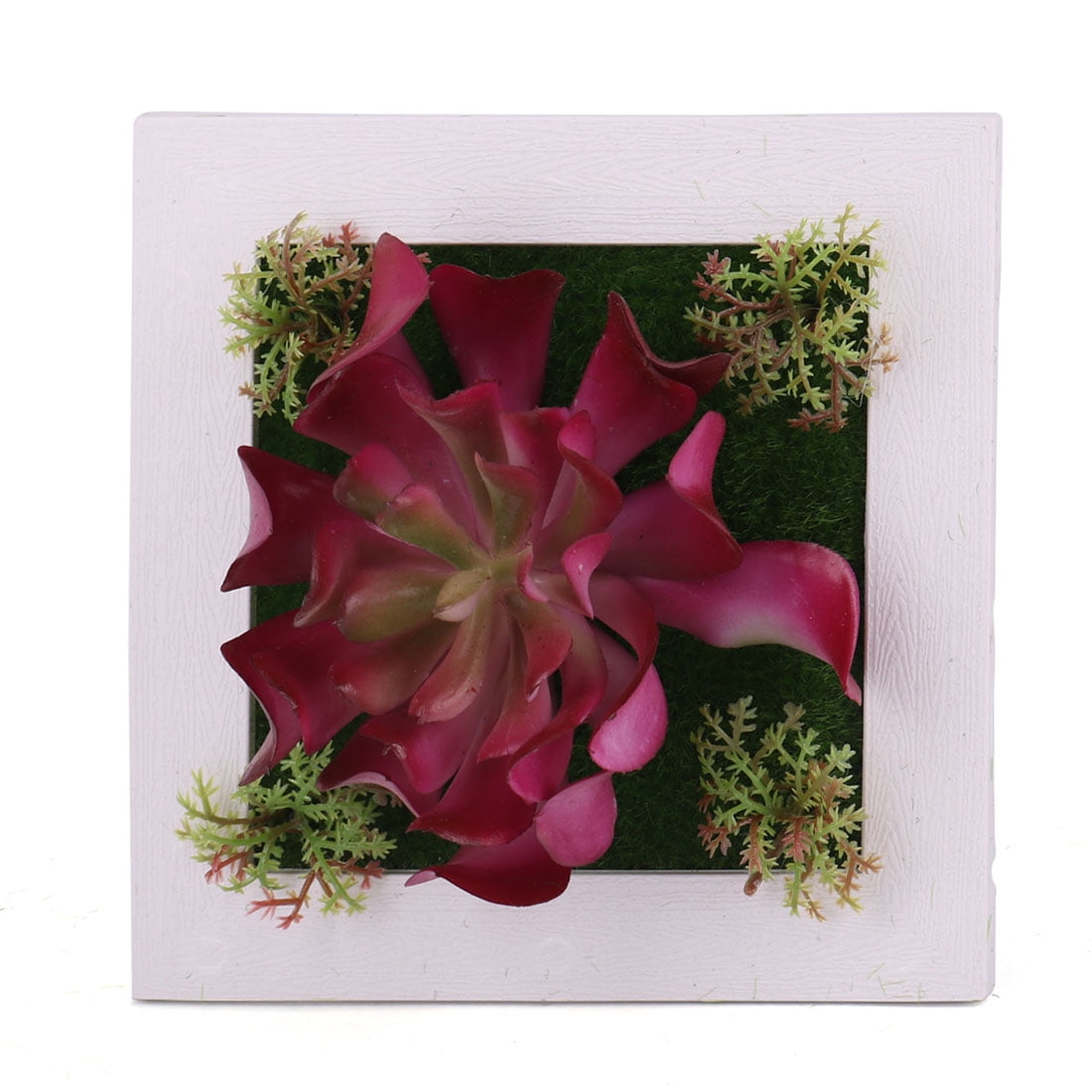 Plastic Square Wall Hanging Artificial Succulent Plant Table Top Plastic Square Wall Hanging Artificial Succulent Plant Table Top Frame 15 X 15cm