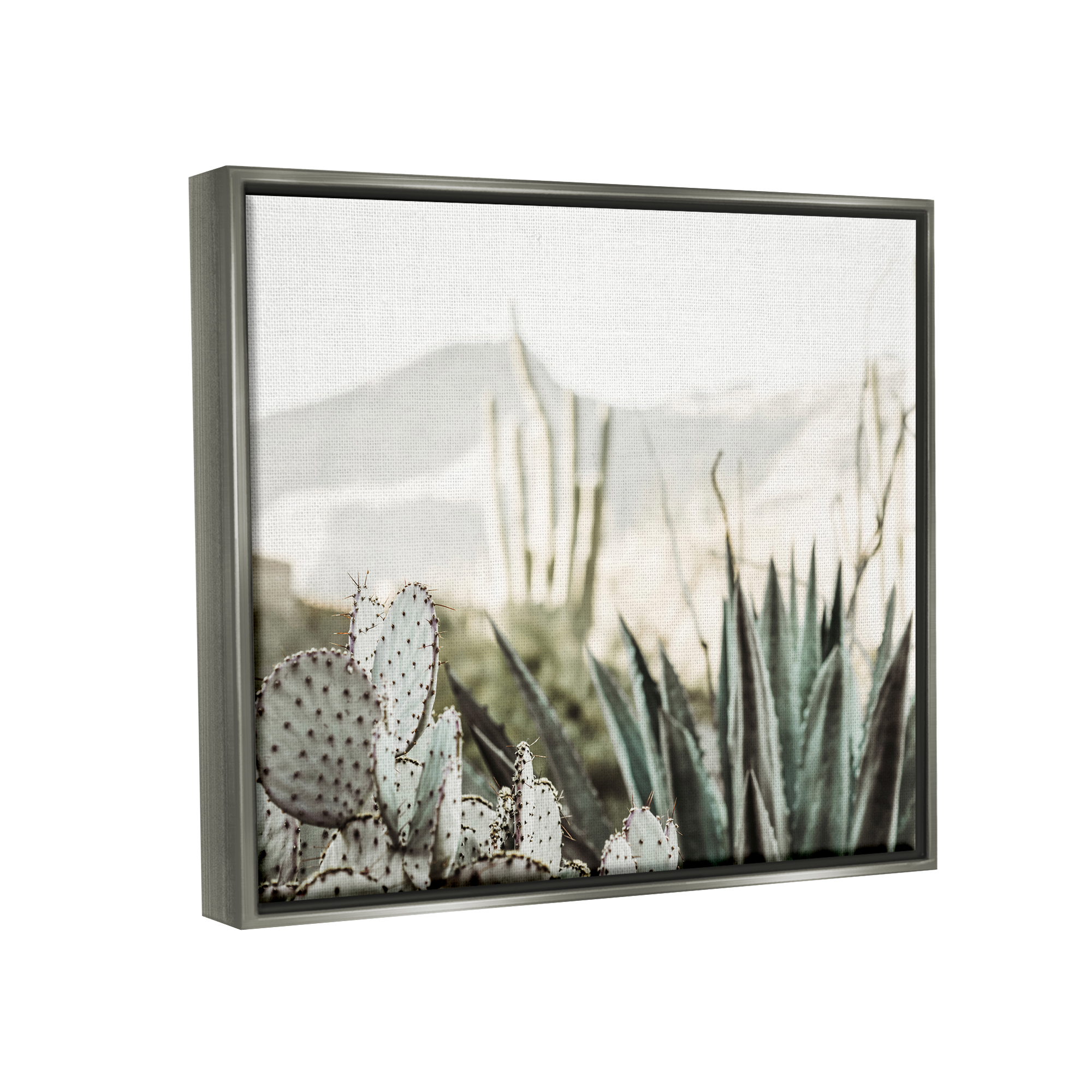 Stupell Industries Desert Cacti Photography Landscape Photography Gray Floater Framed Canvas Art Print Wall Art, 31 x 25