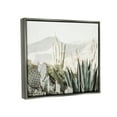 thumbnail image 4 of Stupell Industries Desert Cacti Photography Landscape Photography Gray Floater Framed Canvas Art Print Wall Art, 21 x 17, 4 of 10