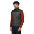 thumbnail image 5 of Regatta Mens Standout Altoona Insulated Bodywarmer Jacket, 5 of 5