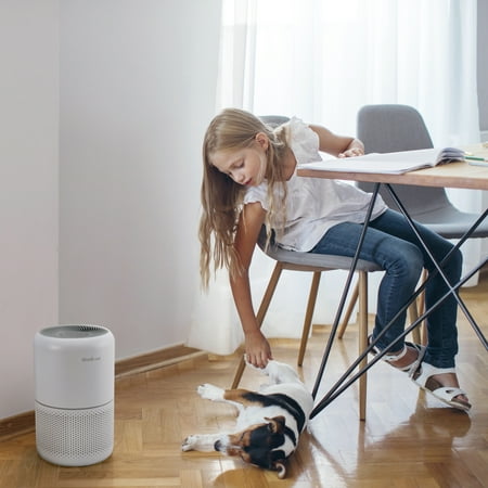 Levoit - Pet Care True HEPA Air Purifier - Gray