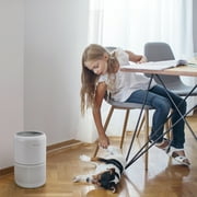 Levoit Core P350-RAC-P Pet Care Air Purifier for Rooms up to 1050 sq ft