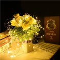 thumbnail image 4 of Fairy String Light Usb Party Light Para Boda Navidad Valentine Decor Home Outdoor 100 Led Speravity HA022980-00, 4 of 7