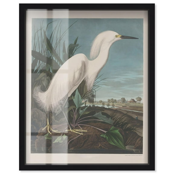 Vision of Grace Shadowbox Print Vintage Art by Art Remedy, Black Frame, 16 x 20