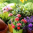 thumbnail image 5 of Garden Automatic Watering Device, Drip Irrigation Kit With 10 Drip Heads Drip  Device, 3/4" Adapte Drip Seepage Device Garden Irrigation, For Greenhouse Balcony Potted , Small Gardens & Raised Beds, 5 of 7