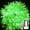 Green, variant on Christmas Fairy Lights Christmas Tree Fairy Lights, 10M 80 LED Christmas Tree String Lights Decorative Christmas Lights USB with Remote (Blue)
