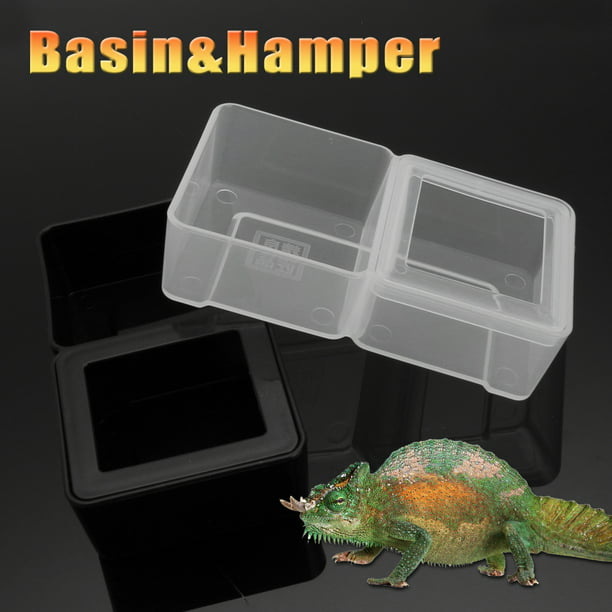 1PC Boîte à Abdominaux Ventilés Transparent Transport d'Élevage Alimentation Hachure pour Reptile Insecte