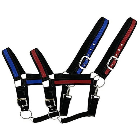 Black Draft Horse Size Nylon Halter w/ Blue or Red Accent Color (Blue)