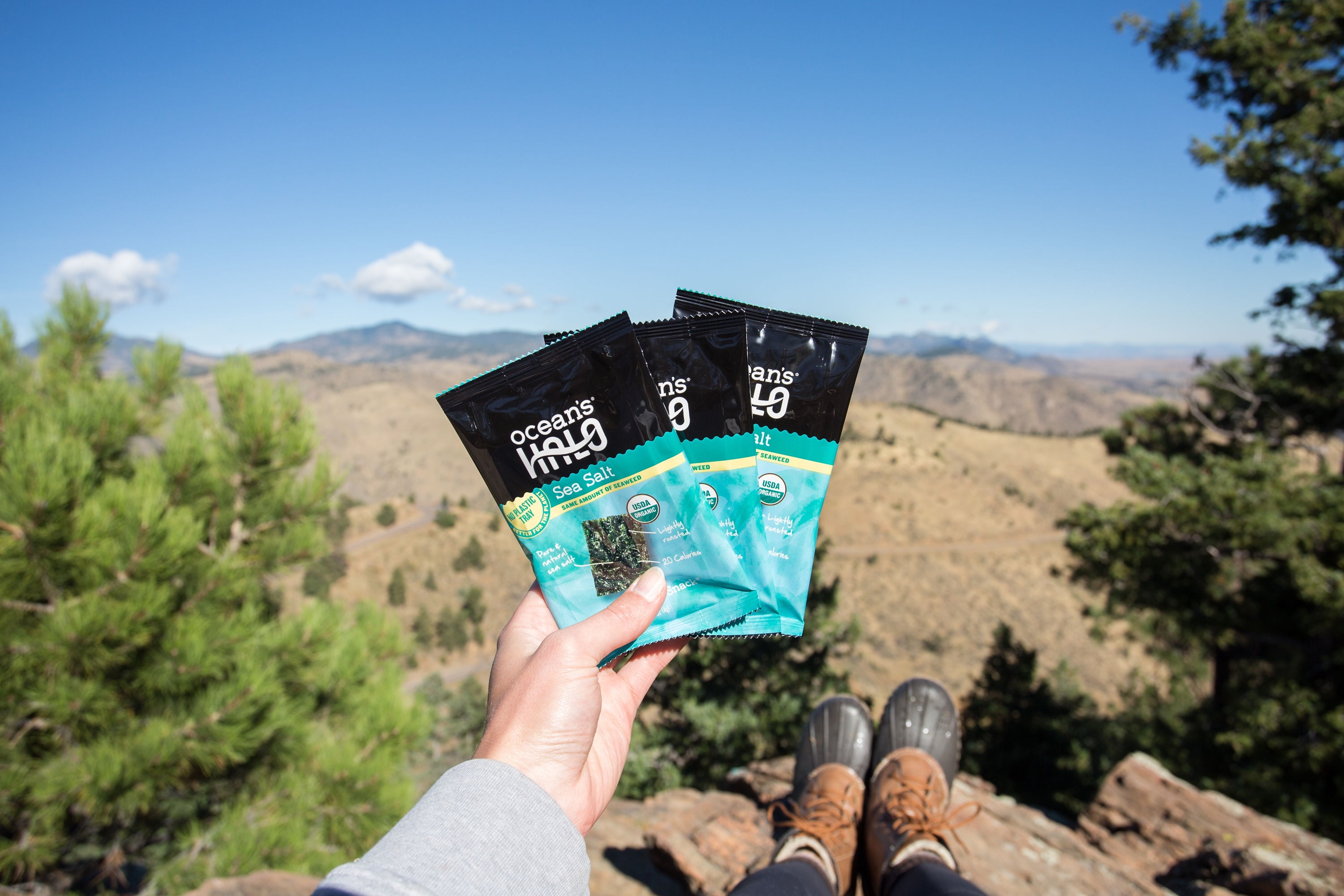 Ocean's Halo Organic 5-pack Sea Salt Seaweed Snack, Trayless Crispy Nori Snack, 4g Each