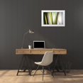 thumbnail image 3 of PI Studio 24x17 White Modern Wood Framed Museum Art Print Titled - Organic II, 3 of 4