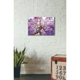 thumbnail image 2 of Epic Art 'Thing of Beauty' Acrylic Glass Wall Art, 16"x24", 2 of 2