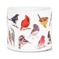 thumbnail image 1 of North American Birds Planter, 1 of 3