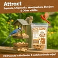 thumbnail image 4 of Trailmark Naturals Raw In-Shell Peanuts, 5 lb (Pack of 2), 4 of 7