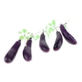 thumbnail image 3 of DOLITY Artificial Food Leaf Leaf Vegetable Sweet Potato Bitter Eggplant Model Kitchen, 3 of 7