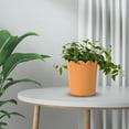 thumbnail image 5 of Thickened Plastic Planter In Style Resin Pot For Home Gardening Suitable For Balcony Roses And Greenery, 5 of 5