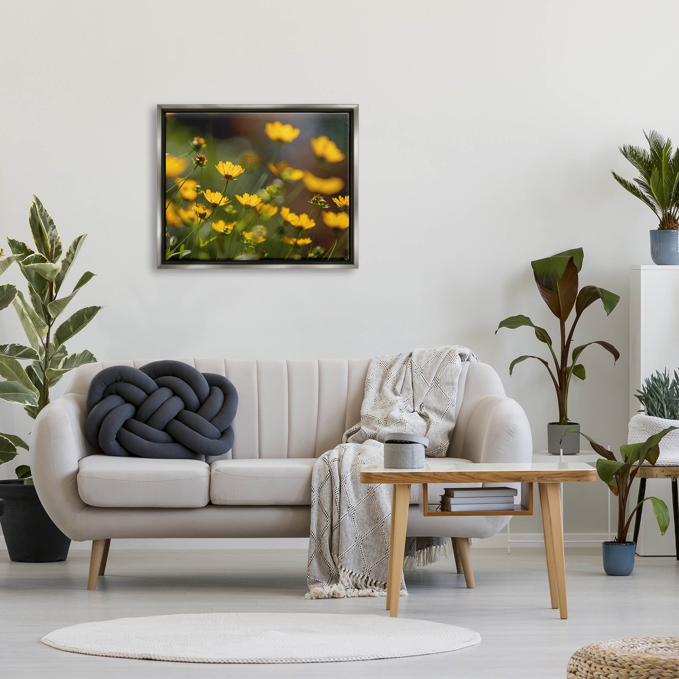 Yellow Daisy Wildflower Field Botanical & Floral Photograph Luster Gray Framed Art Print Wall Art